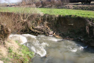 Flächennaturdenkmal Runde Gumpe | © BTMV Bruchsal