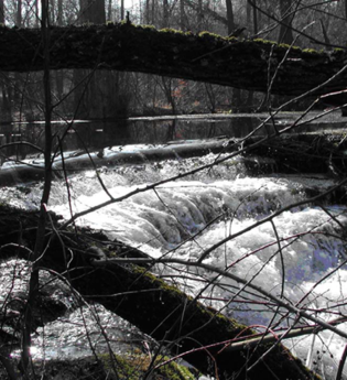 Flächennaturdenkmal Schwallenbrunnen | © BTMV Bruchsal