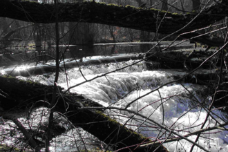 Flächennaturdenkmal Schwallenbrunnen | © BTMV Bruchsal