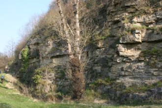 Flächennaturdenkmal Steinbruch Pfaffenloch | © BTMV Bruchsal