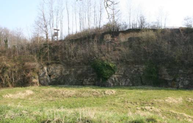 Flächennaturdenkmal Steinbruch Pfaffenloch | © BTMV Bruchsal