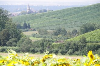 Deinenbachtal | Flein | HeilbronnerLand