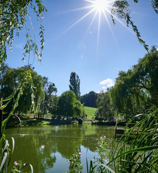 Forellenparadies Weinberger | © Hohenlohe Schwäbisch Hall