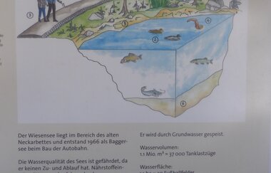 Freibad Hemsbacher Wiesensee | © Beate Otto