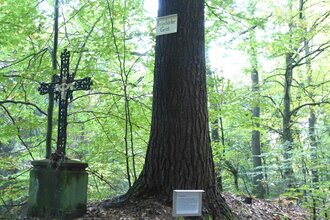 Das eiserne Wegkreuz steht im Hirschhorner Wald. Zwei Tafeln erläutern, was es damit auf sich hat. | © Neckarsteig-Büro