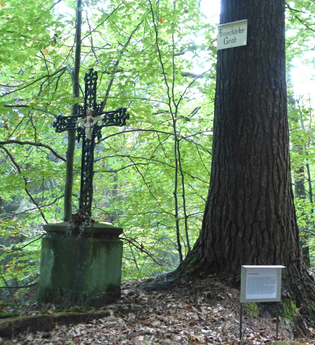 Das eiserne Wegkreuz steht im Hirschhorner Wald. Zwei Tafeln erläutern, was es damit auf sich hat. | © Neckarsteig-Büro