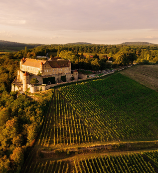 Burg Stettenfels im Abendlicht zwischen den Weinbergen | © Touristikgemeinschaft HeilbronnerLand e.V.