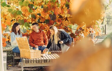 Rastplatz "Weinpergola am Burgberg" - Nähe Burgruine Weibertreu Weinsberg | HeilbronnerLand | © Touristikgemeinschaft HeilbronnerLand