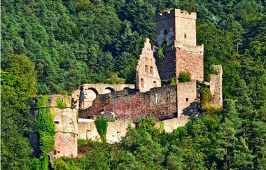 Blick auf die Freudenburg in Freudenberg am Main. Die Burg ist von Wald umgeben. | © Liebliches Taubertal