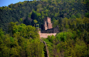 Blick auf die Freudenburg in Freudenberg am Main. Die Burg ist von Wald umgeben. | © Liebliches Taubertal