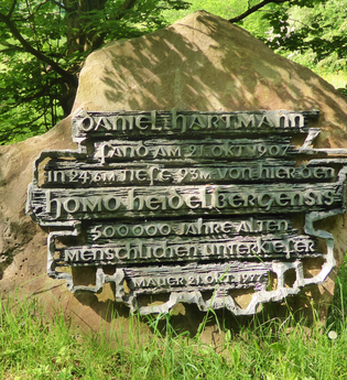 Fundort "Homo heidelbergensis" im Naturschutzgebiet Sandgrube am Grafenrain in Mauer | © Landratsamt Rhein-Neckar-Kreis