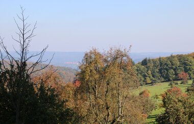 Gaiberg | © Landratsamt Rhein-Neckar-Kreis