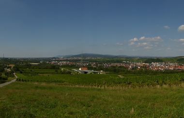 Galgenberg Rauenberg - Malschenberg (257m) | © Landratsamt Rhein-Neckar-Kreis
