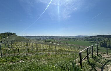 Gardicher Weinterasse | Eppingen | © Stadt Eppingen