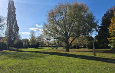 Wiesen im Gartenschaupark