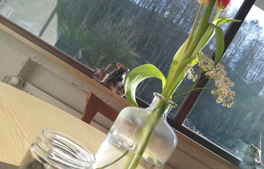 Gartenwirtschaft Zur Lauramühle in Rot am See: Frische Blumen | © Hohenlohe Schwäbisch Hall