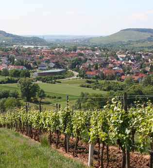 Gasthaus Linde | © Von Rosenzweig - Selbst fotografiert, CC BY-SA 3.0, https://commons.wikimedia.org/w/index.php?curid=2129867