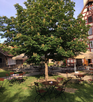 Roter Ochsen Schwäbisch Hall | © Roter Ochsen