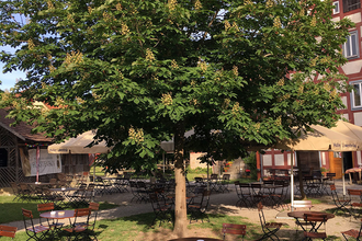Roter Ochsen Schwäbisch Hall | © Roter Ochsen