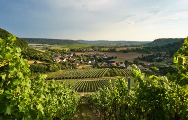 Weinbaugemeinde Eberstadt | Weinsberger Tal | HeilbronnerLand | © Tourismus im Weinsberger Tal