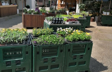 Gemüsebau Gisela Rapp | © BTMV Bruchsal