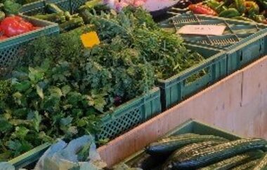 Verkaufsstand mit regionalem Gemüse wie Kohlrabi, Gurken, Blumenkohl, Paprika uns anderen Produkten
