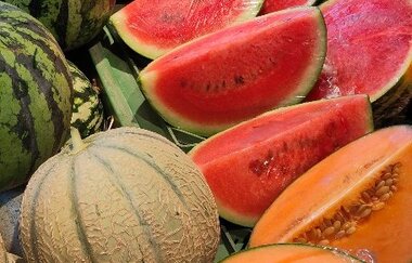 Erntefrische Melonen sowie Paprika, Brokkoli und Bohnen im Verkaufsstand vom Gemüsebau Roth