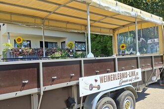Genuss auf Achse - Planwagenfahrt mit dem Weinerlebnis-Link | © Gudrun Link