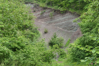 Geologisches Fenster | © Stadt Sachsenheim