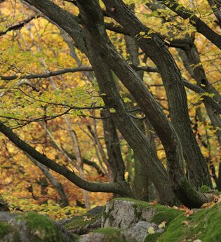 Geopfad - Steine, Schluchten und Sagen
