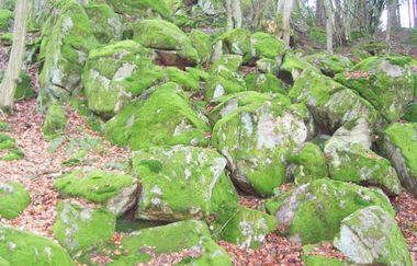 Geopfad - Steine, Schluchten und Sagen