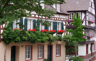 Ein Fachwerkhaus üpig mit Blumenkästen mit Geranien dekoriert. | © Maria Zimmermann