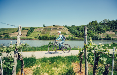 Katzenbeißer Steillagen in Lauffen | Neckartal-Radweg | HeilbronnerLand | © Touristikgemeinschaft HeilbronnerLand