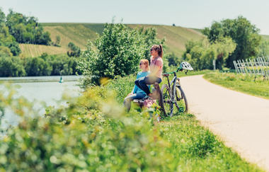 Auf dem Neckartal-Radweg bei Lauffen a.N. | HeilbronnerLand | © Touristikgemeinschaft HeilbronnerLand