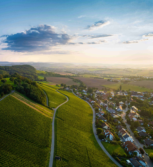 Aussicht Golberg von Öhringen-Verrenberg | © Stadt Öhringen