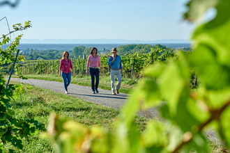 Goldberg - die aussichtsreiche Weinlage in Bad Schönborn | © Land der 1000 Hügel - Kraichgau-Stromberg