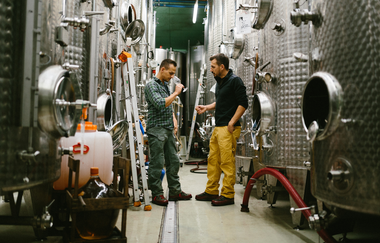Samuel und Christoph Golter im Keller | Weingut Golter | HeilbronnerLand | © Golter - Wiengut im Klee GbR