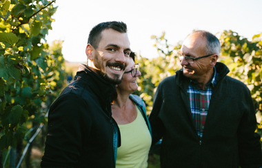 Christoph, Christine und Reinhard Golter im Weinberg bei der Weinlese | Ilsfeld | Heilbronner Land