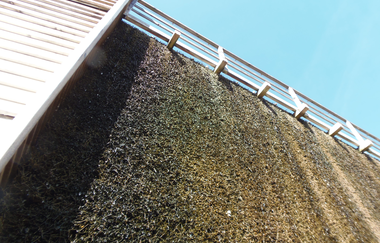 Bedornung Gradierwrek | © Gäste-Information Bad Rappenau