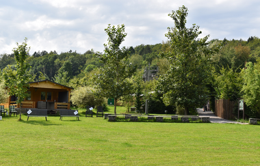 Flugvorführungen und Falkner-Workshops in der Greifvogelanlage am Spatzenwald | Wüstenrot | HeilbronnerLand | © Greifvogelanlage am Spatzenwald