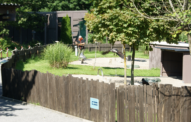 Flugvorführungen und Falkner-Workshops in der Greifvogelanlage am Spatzenwald | Wüstenrot | HeilbronnerLand | © Greifvogelanlage am Spatzenwald