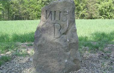 Grenzsteinpfad mit Birnbaumallee Kleingartach | © Stadt Eppingen