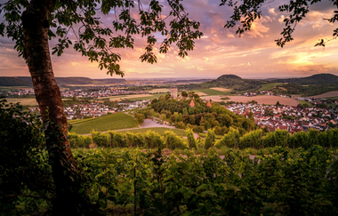 Blick vom Fohlenberg auf Burg Hohenbeilstein | HeilbronnerLand | © Touristikgemeinschaft HeilbronnerLand