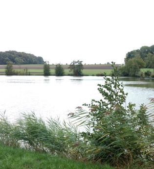 Grillplatz am Billingsbacher See | © Hohenlohe Schwäbisch Hall