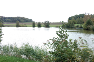 Grillplatz am Billingsbacher See | © Hohenlohe Schwäbisch Hall