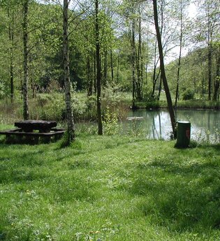 Rastplatz am Henkersbrunnensee | © Widdern