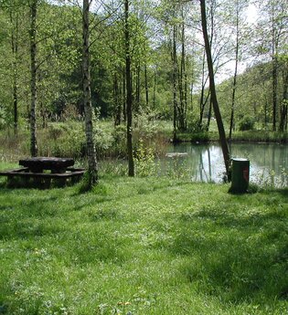Rastplatz am Henkersbrunnensee | © Widdern