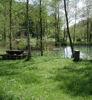 Rastplatz am Henkersbrunnensee | © Widdern