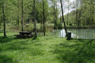 Rastplatz am Henkersbrunnensee | © Widdern