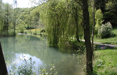 Seeweg am Henkersbrunnensee | © Widdern